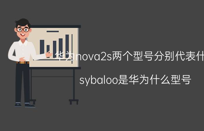 华为nova2s两个型号分别代表什么 sybaloo是华为什么型号？